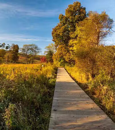 Rockbridge State Nature Preserve - Rockbridge, OH