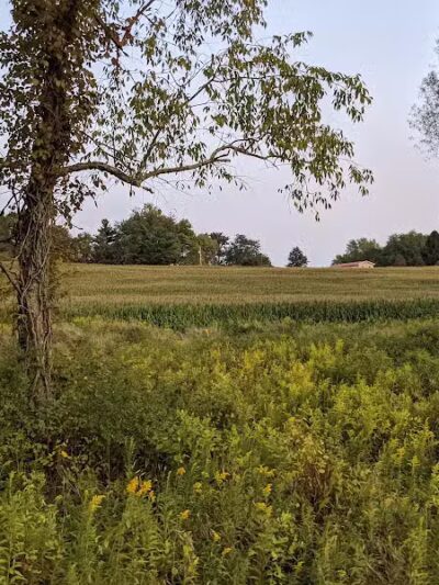 Rockbridge State Nature Preserve - Rockbridge, OH