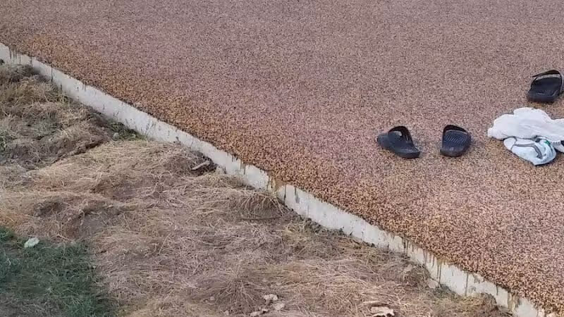 Shanes Park - Rockford, OH