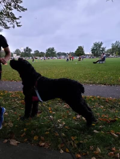 Linden Park - Rocky River, OH