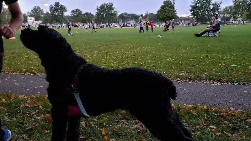 Linden Park - Rocky River, OH