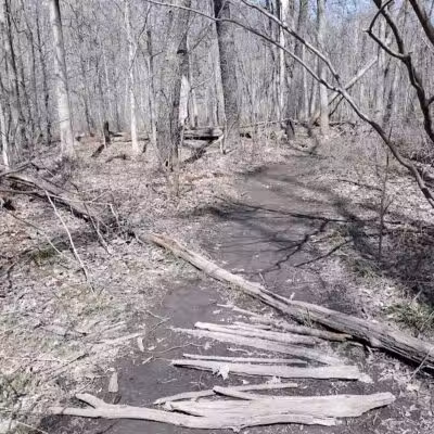 Rockcliff Springs Rocky River Reservation - Rocky River, OH