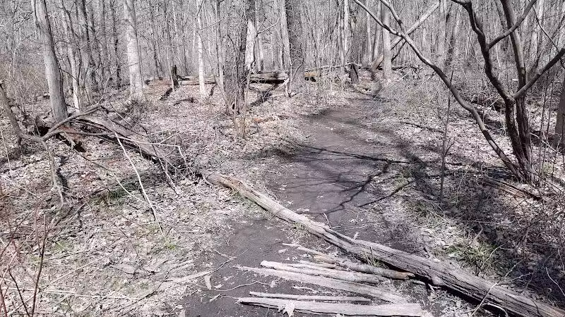 Rockcliff Springs Rocky River Reservation - Rocky River, OH
