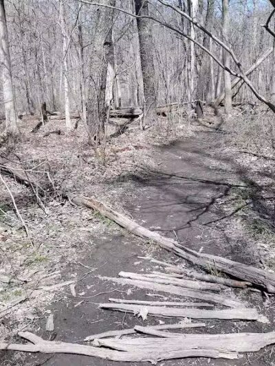 Rockcliff Springs Rocky River Reservation - Rocky River, OH