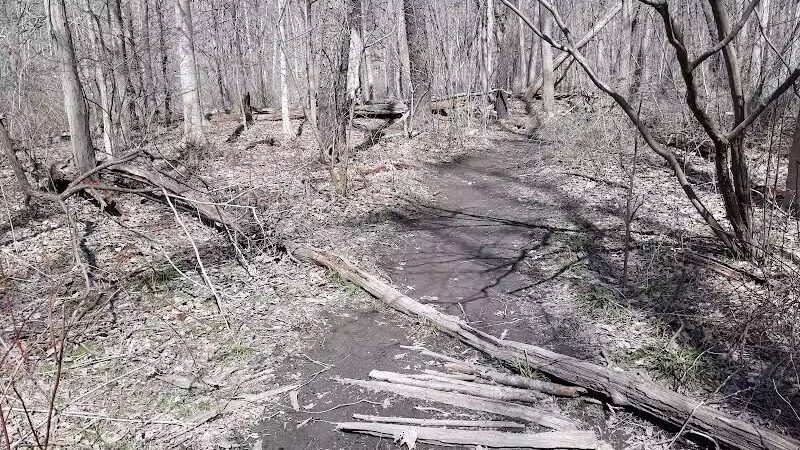 Rockcliff Springs Rocky River Reservation - Rocky River, OH