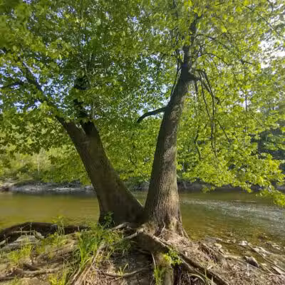 Rockcliff Springs Rocky River Reservation - Rocky River, OH
