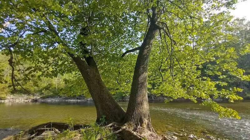 Rockcliff Springs Rocky River Reservation - Rocky River, OH