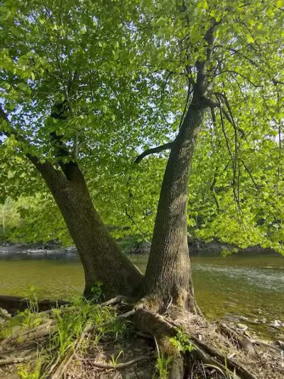 Rockcliff Springs Rocky River Reservation - Rocky River, OH