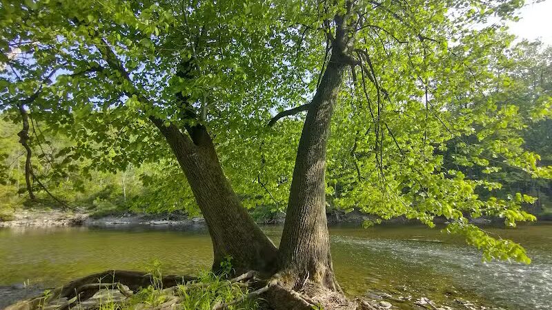 Rockcliff Springs Rocky River Reservation - Rocky River, OH