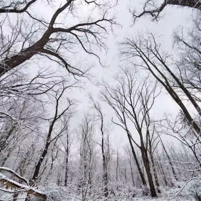 Rockcliff Springs Rocky River Reservation - Rocky River, OH
