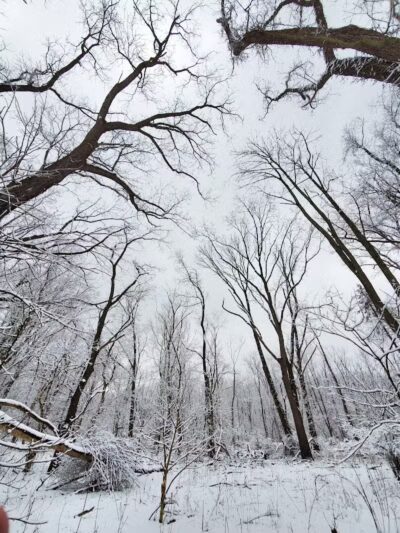 Rockcliff Springs Rocky River Reservation - Rocky River, OH