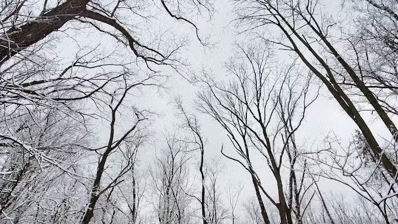 Rockcliff Springs Rocky River Reservation - Rocky River, OH