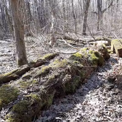 Rockcliff Springs Rocky River Reservation - Rocky River, OH