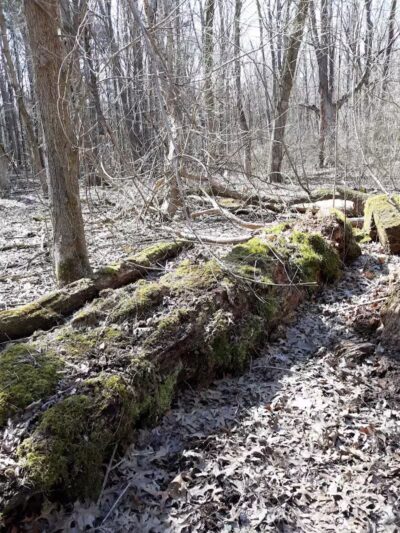 Rockcliff Springs Rocky River Reservation - Rocky River, OH