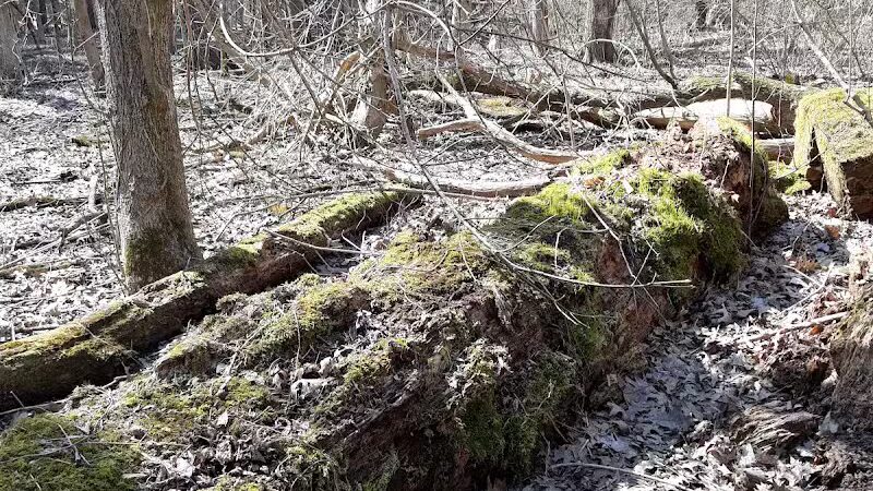 Rockcliff Springs Rocky River Reservation - Rocky River, OH