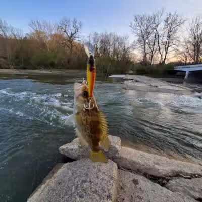 Rockcliff Springs Rocky River Reservation - Rocky River, OH