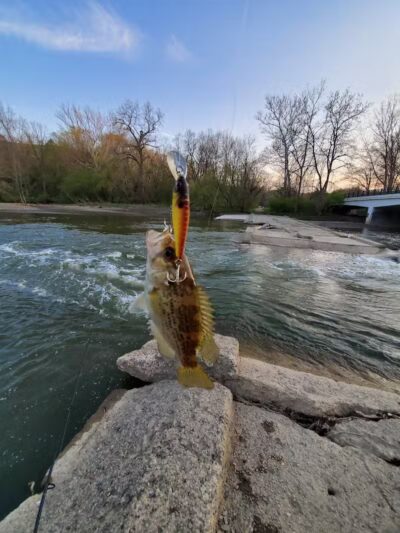 Rockcliff Springs Rocky River Reservation - Rocky River, OH