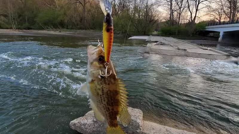 Rockcliff Springs Rocky River Reservation - Rocky River, OH