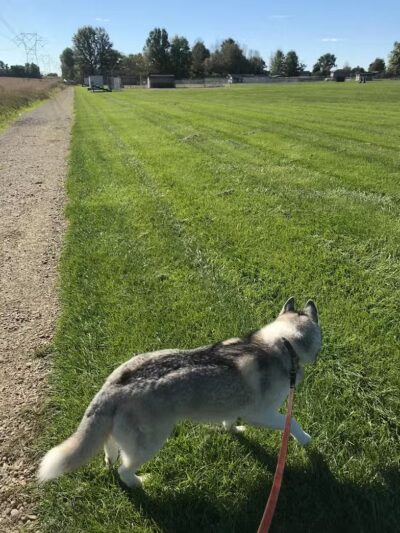 Gracie Fields - Rootstown, OH