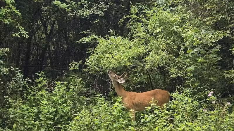 Island View Park - Rossford, OH