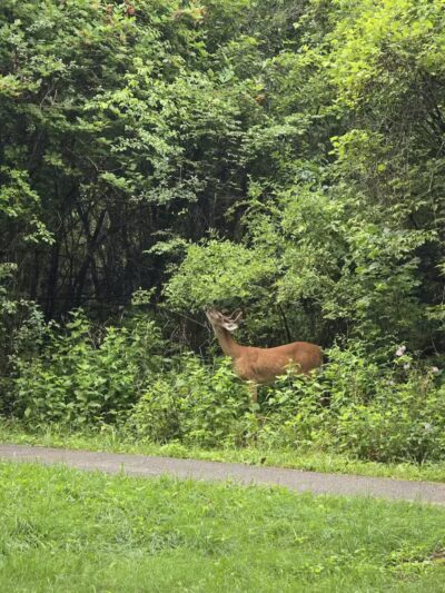 Island View Park - Rossford, OH