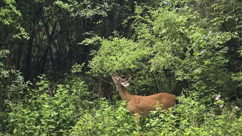 Island View Park - Rossford, OH