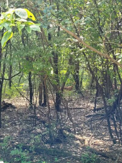 Island View Park - Rossford, OH