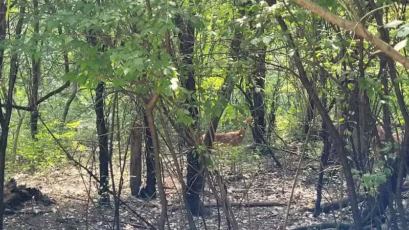 Island View Park - Rossford, OH