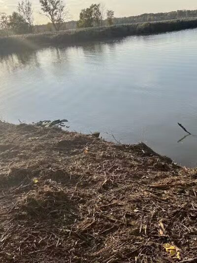 Island View Park - Rossford, OH