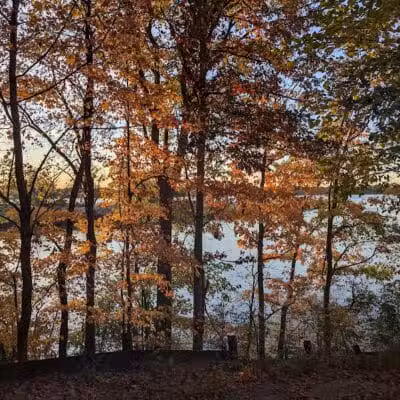 Island View Park - Rossford, OH