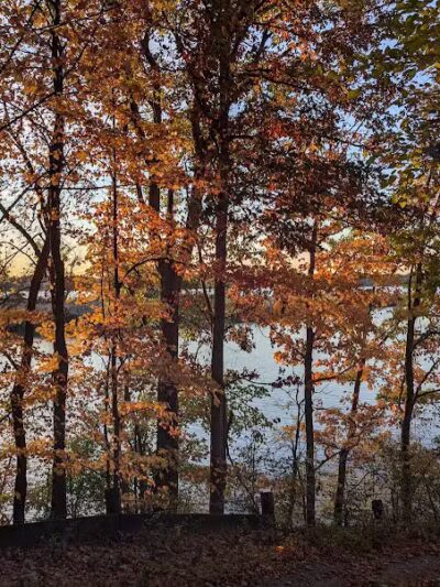 Island View Park - Rossford, OH