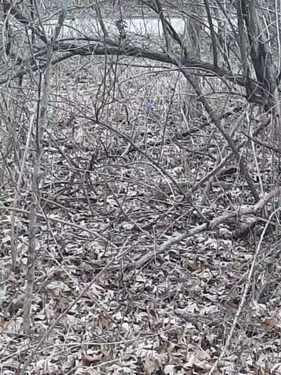 Island View Park Parking Lot - Rossford, OH