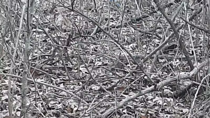 Island View Park Parking Lot - Rossford, OH