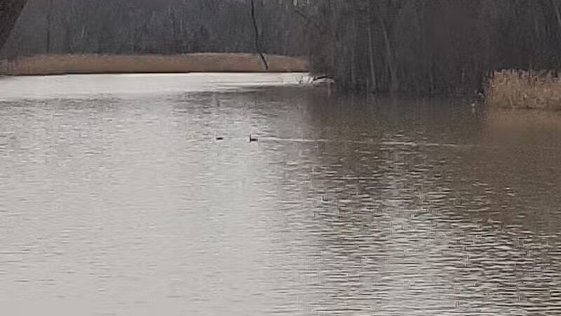 Island View Park Parking Lot - Rossford, OH