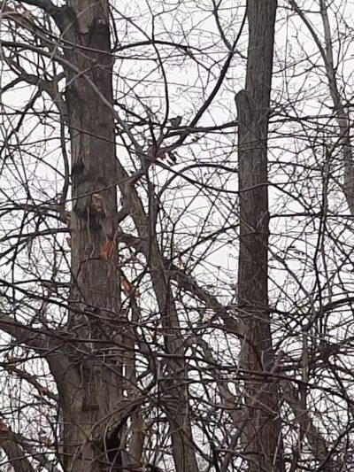 Island View Park Parking Lot - Rossford, OH