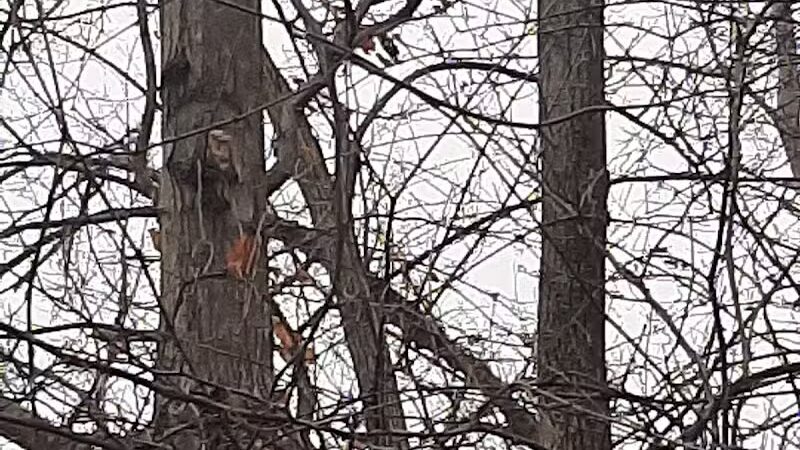 Island View Park Parking Lot - Rossford, OH