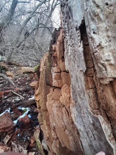 Island View Park Parking Lot - Rossford, OH