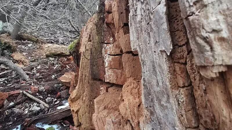 Island View Park Parking Lot - Rossford, OH