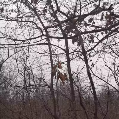 Island View Park Parking Lot - Rossford, OH