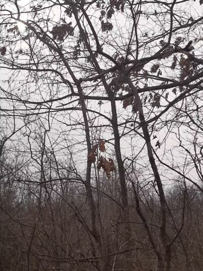 Island View Park Parking Lot - Rossford, OH