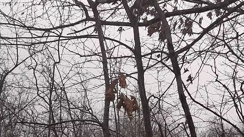 Island View Park Parking Lot - Rossford, OH