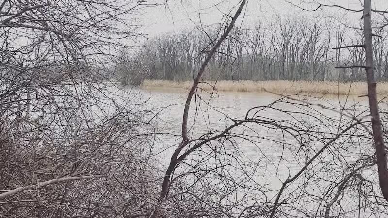 Island View Park Parking Lot - Rossford, OH