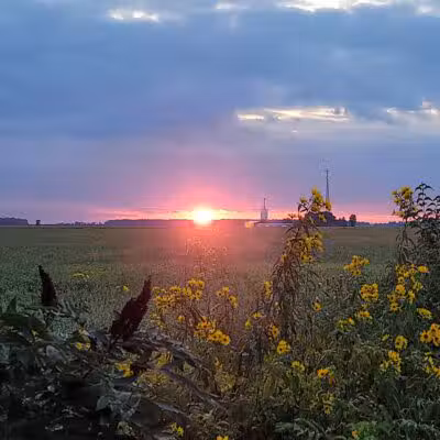 Rudolph Ball Field - Rudolph, OH