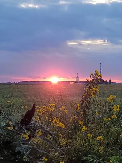 Rudolph Ball Field - Rudolph, OH