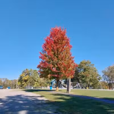 Rushsylvania Village Park - Rushsylvania, OH