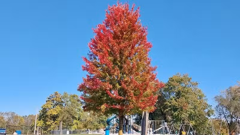 Rushsylvania Village Park - Rushsylvania, OH