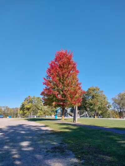 Rushsylvania Village Park - Rushsylvania, OH