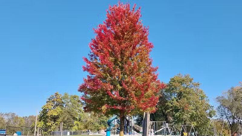Rushsylvania Village Park - Rushsylvania, OH