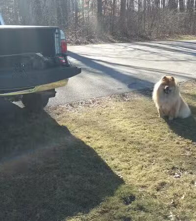 Sagamore Hills Township Park - Sagamore Hills, OH