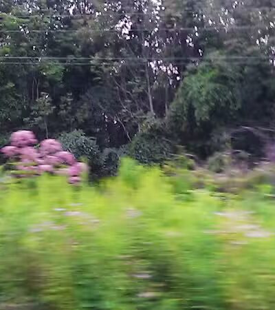 Sagamore Hills Township Park - Sagamore Hills, OH